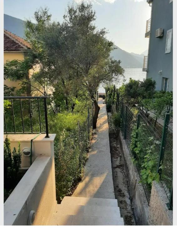 Apartments Boka Blue Dobrota Kotor Zewnętrze zdjęcie